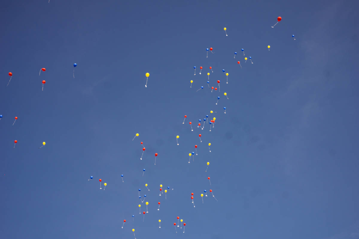 Ein Symbolbild zeigt viele bunte Luftballons die im blauen Himmel schweben