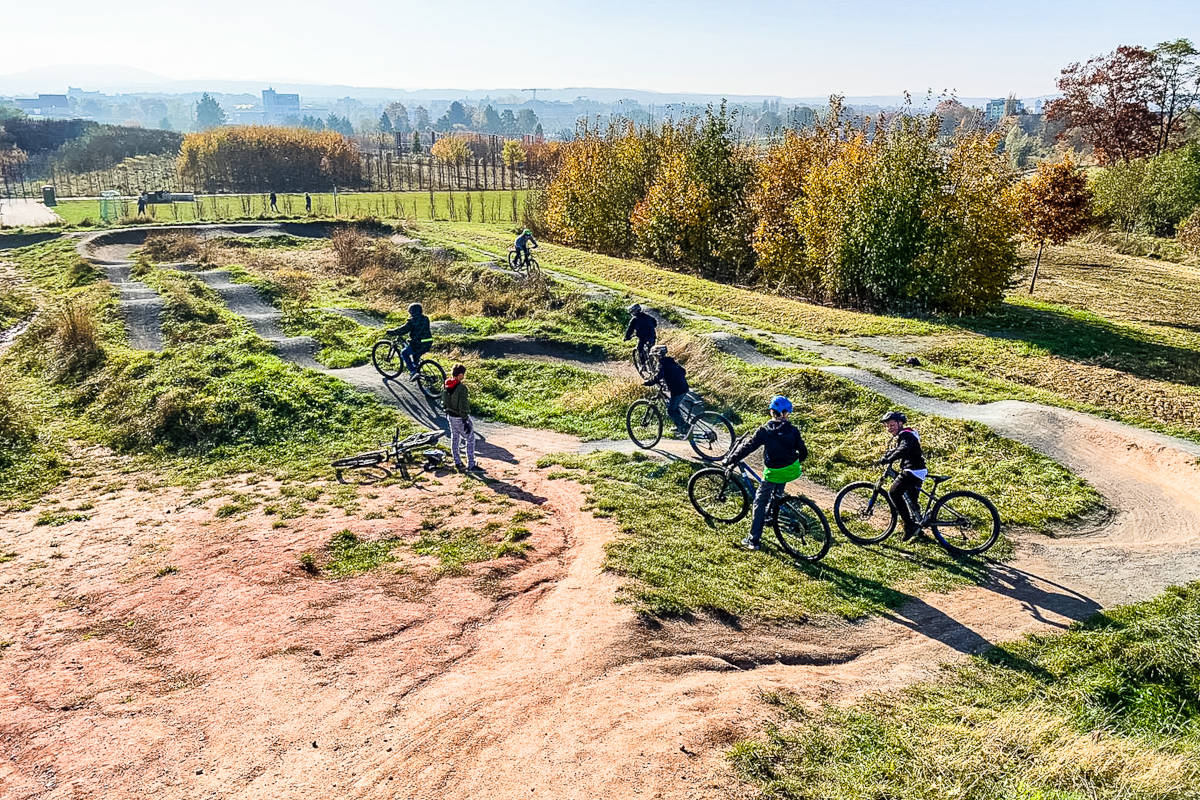 Eine Schülergruppe fährt auf einer Mountainbikestrecke Fahrrad