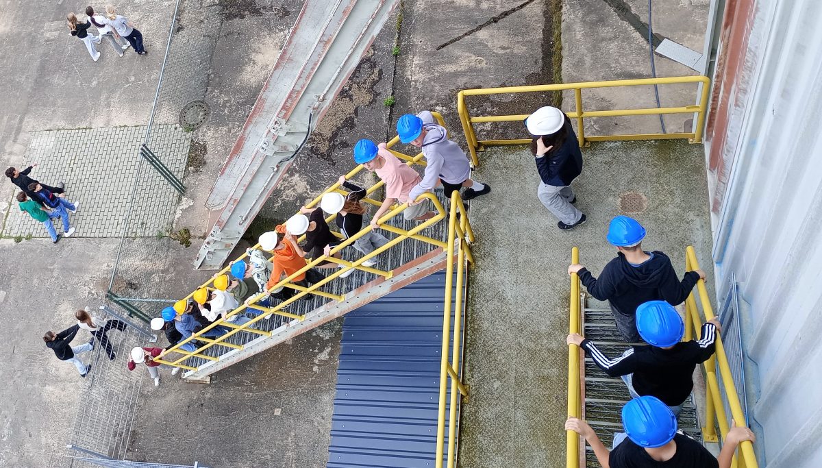 Blick von oben aufe eine Reihe Schüler, die eine Treppe hinabsteigen.
